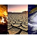 CLIMATE