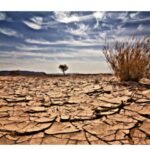 DRY