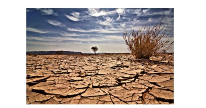 DRY