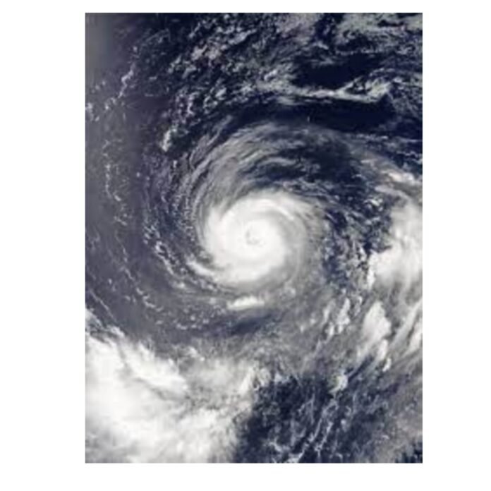NORUTYPHOON