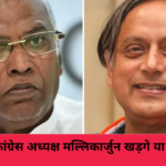 conress election
