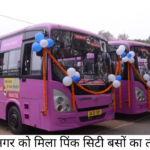 pink city buses