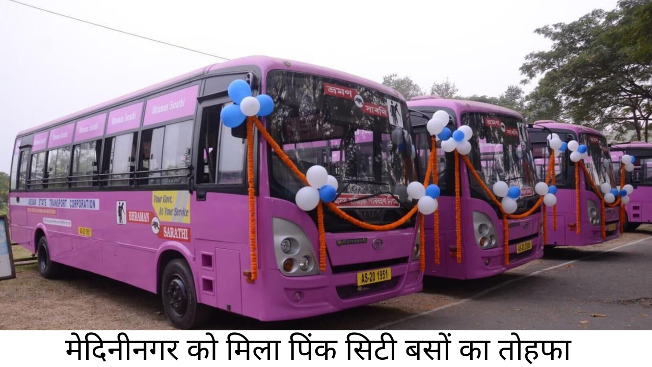 pink city buses