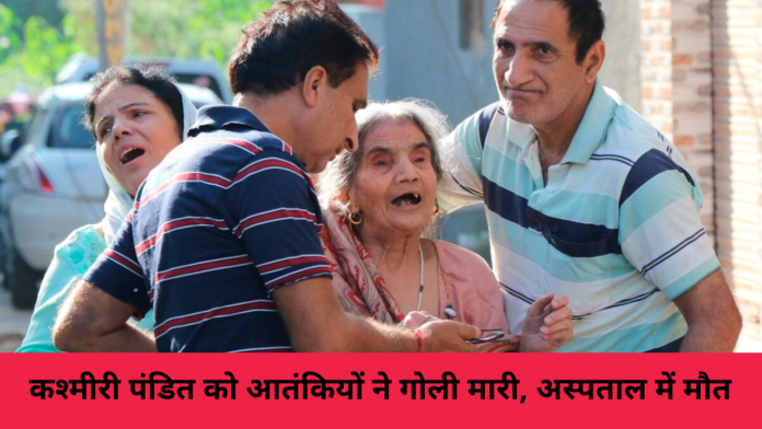 kashmiri pandit