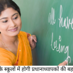 teacher
