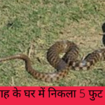 amit shah