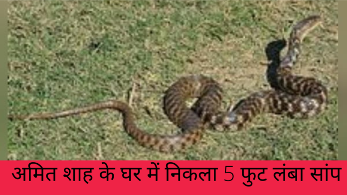 amit shah