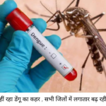 DENGUE FEVER