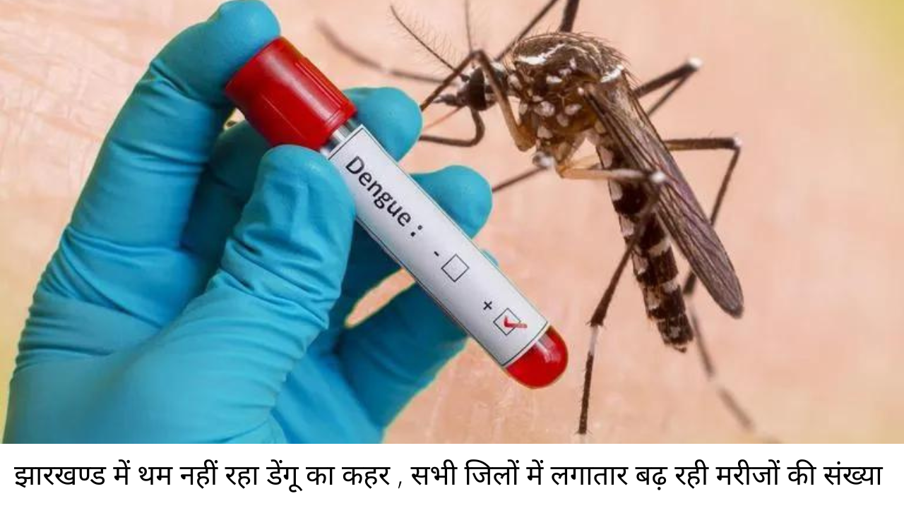 DENGUE FEVER