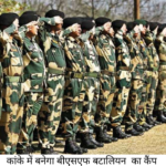 BSF