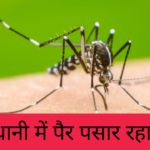 dengue