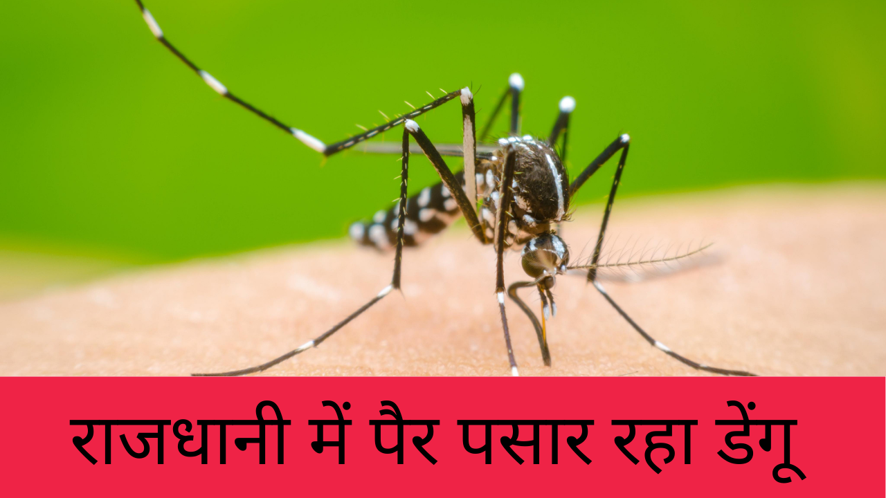 राजधानी में डेंगू के मामले लगातार बढ़ रहे, रिम्स में सिंगल डोनर प्लेटलेट के लिए किट नहीं