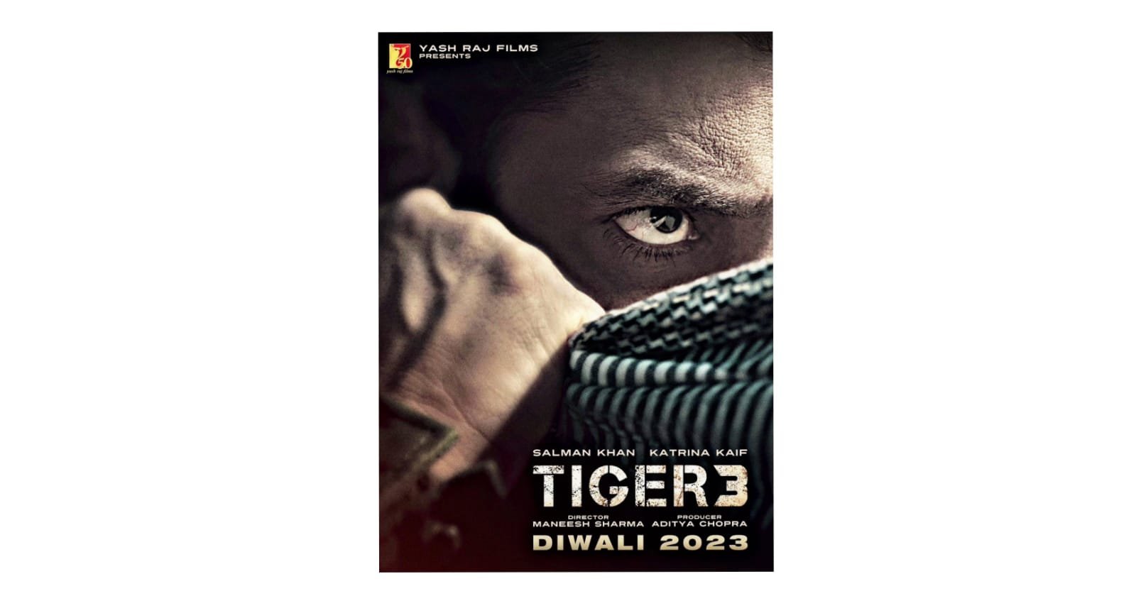 सलमान खान ने टाइगर 3 की नई रिलीज़ डेट की घोषणा कर दी है, ईद नहीं दीवाली पर आएगी फिल्म