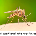 Mosquito Magnet