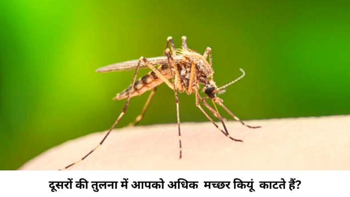 Mosquito Magnet