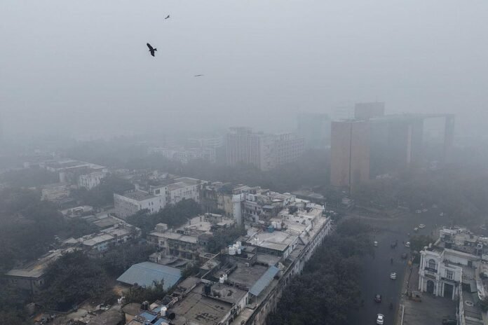 Rising Heat, Pollution, and Microplastics Raise Concern