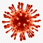 New coronavirus variant BA.3.2