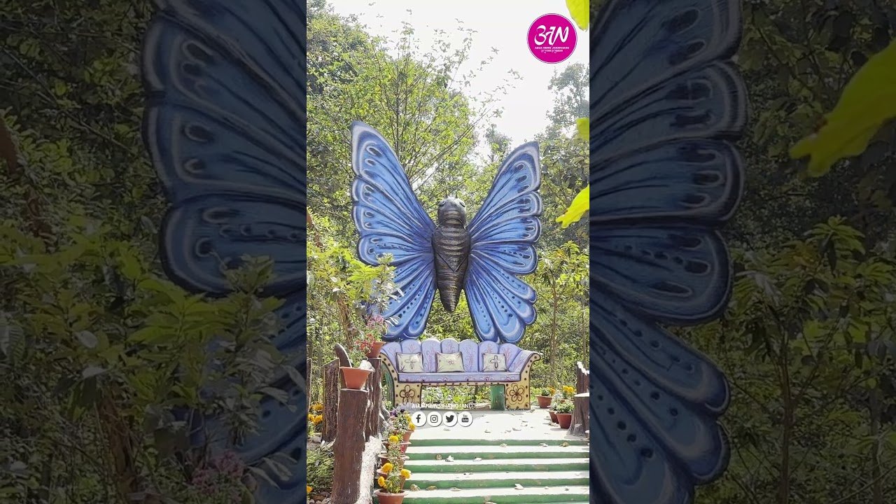 Happy Holi।। #jharkhand #holi #holispecial #holi2026 #butterfly #park #colors #trending