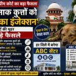 National Supreme Court