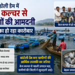 Kendrapada Cage Culture Fish Farming Boosts
