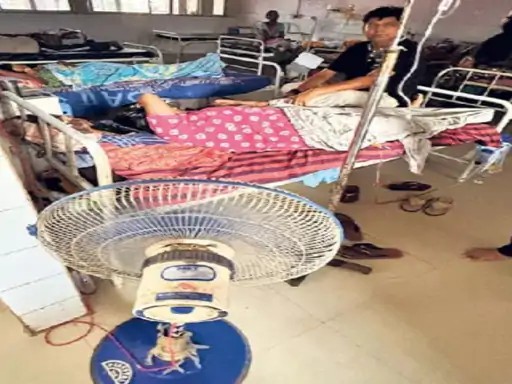 Ranchi Rims Summer Update