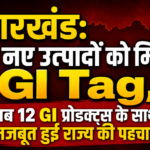 GI Tag