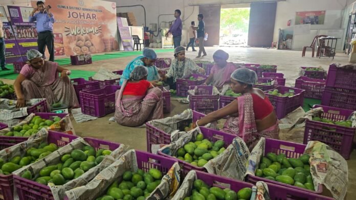 Jharkhand Mango Market