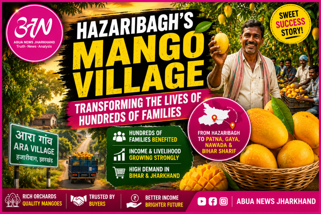 हजारीबाग का ‘Mango Village’: जिसने बदल दी सैकड़ों परिवारों की तकदीर हजारीबाग का ‘Mango Village’: जिसने बदल दी सैकड़ों परिवारों की तकदीर