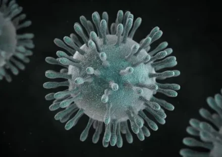 Coronavirus Disease 2019