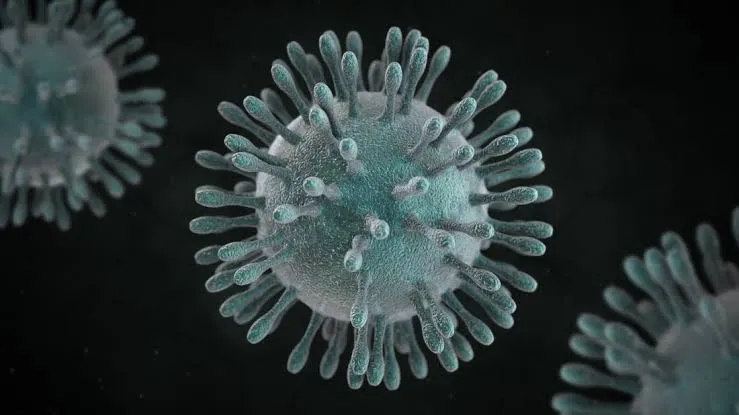 Coronavirus Disease 2019