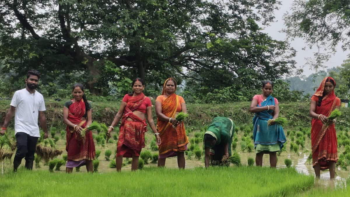 झारखंड में मानसून सामान्य, फिर भी 9 जिलों में बारिश की कमी; आंकड़ों में दिखा बड़ा अंतर