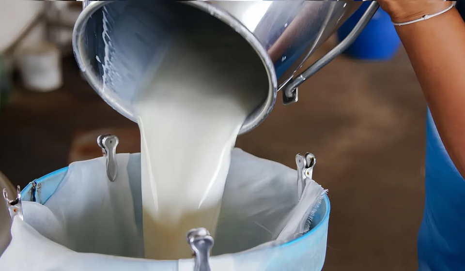 Milk Price Hike: इस शहर में 1 अक्टूबर से महंगा होगा दूध, कीमत में 3 रुपये प्रति लीटर तक बढ़ोतरी